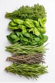 Magickal Tools Fresh Herbs